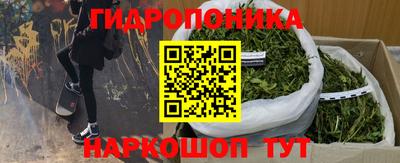 эйфоретик Лесосибирск