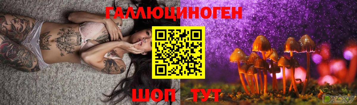 Псилоцибиновые грибы Cubensis Котовск